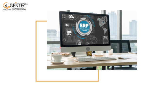 customized erp system
