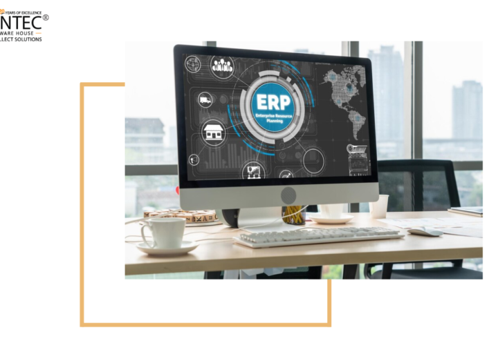 customized erp system